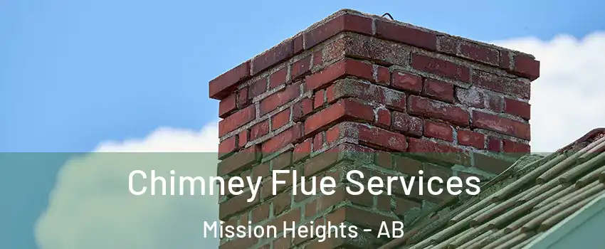  Chimney Flue Services Mission Heights - AB