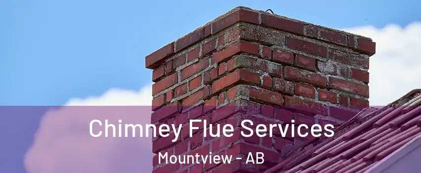  Chimney Flue Services Mountview - AB