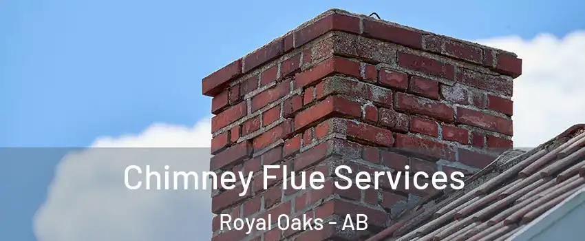  Chimney Flue Services Royal Oaks - AB