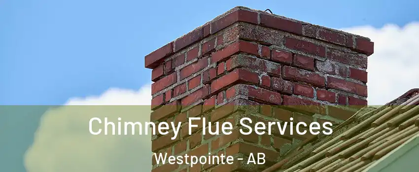  Chimney Flue Services Westpointe - AB