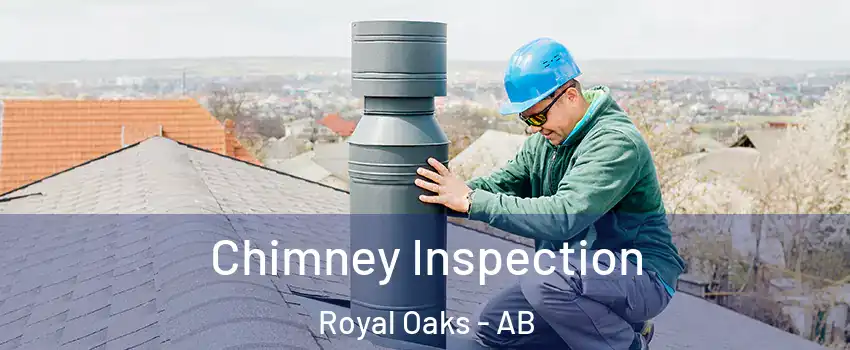  Chimney Inspection Royal Oaks - AB
