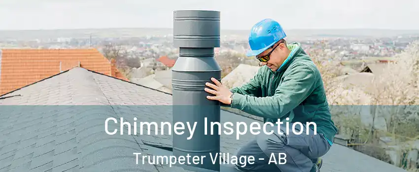  Chimney Inspection Trumpeter Village - AB