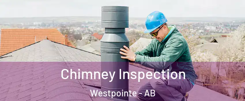  Chimney Inspection Westpointe - AB