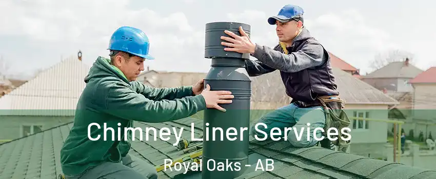  Chimney Liner Services Royal Oaks - AB
