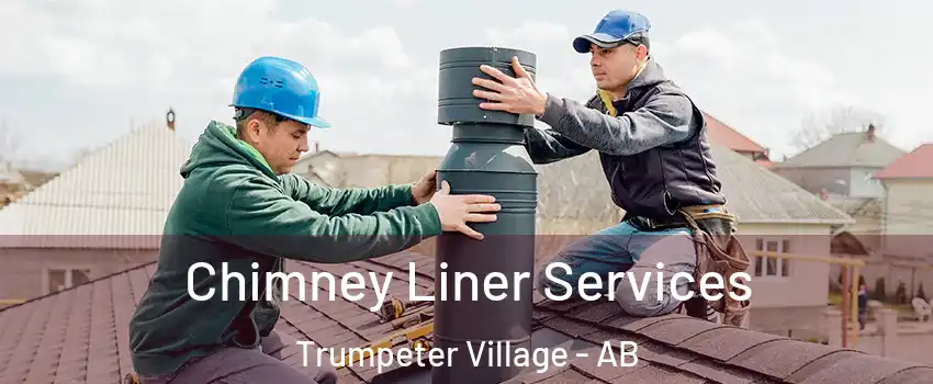 Chimney Liner Services Trumpeter Village - AB