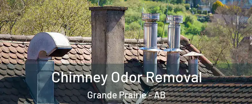  Chimney Odor Removal Grande Prairie - AB