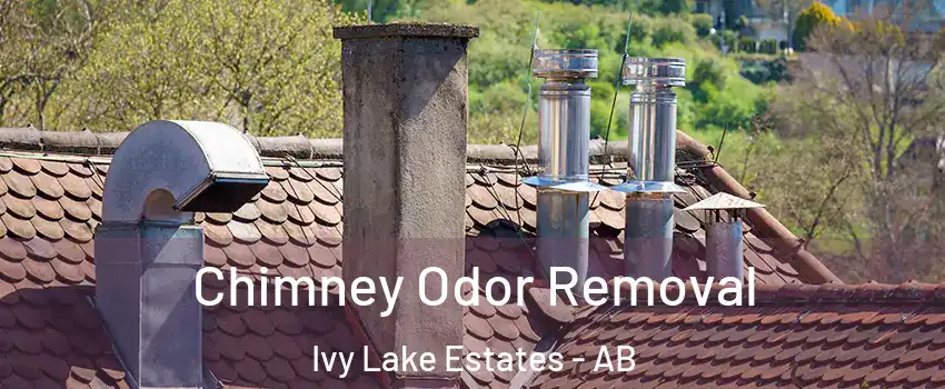  Chimney Odor Removal Ivy Lake Estates - AB