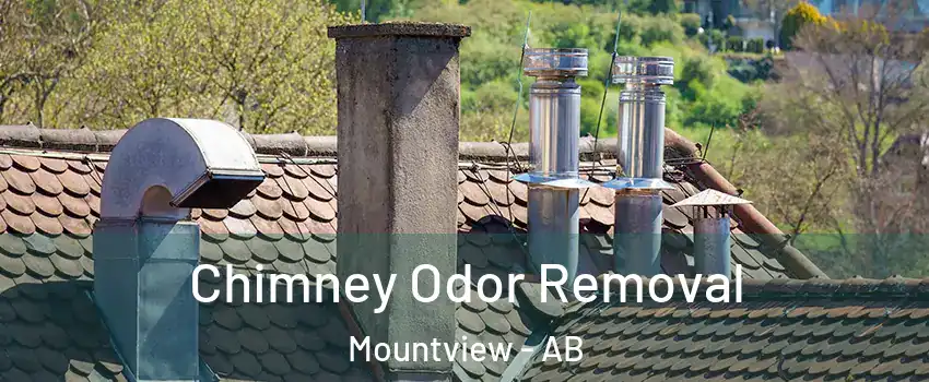  Chimney Odor Removal Mountview - AB