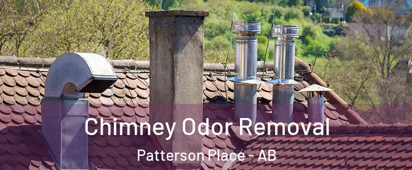  Chimney Odor Removal Patterson Place - AB