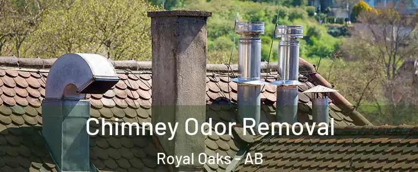  Chimney Odor Removal Royal Oaks - AB