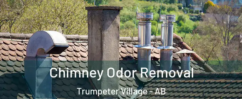  Chimney Odor Removal Trumpeter Village - AB