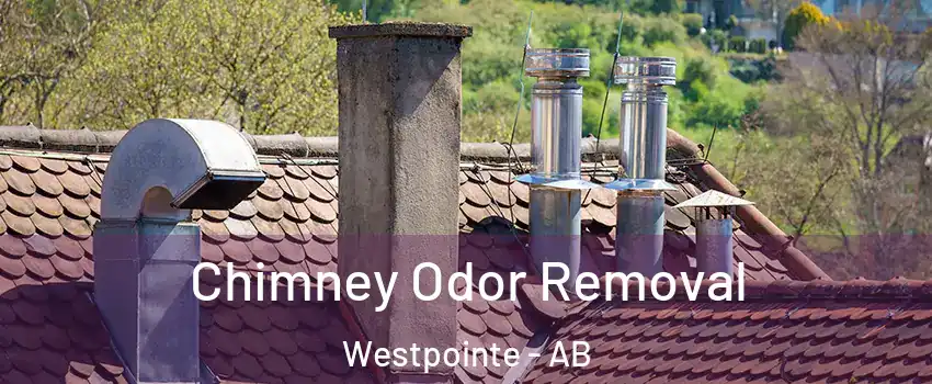  Chimney Odor Removal Westpointe - AB