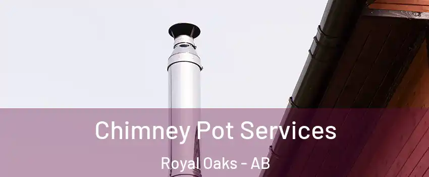  Chimney Pot Services Royal Oaks - AB