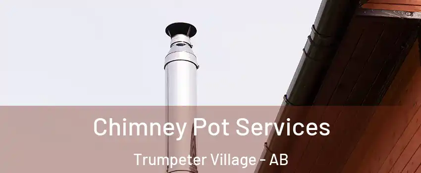  Chimney Pot Services Trumpeter Village - AB