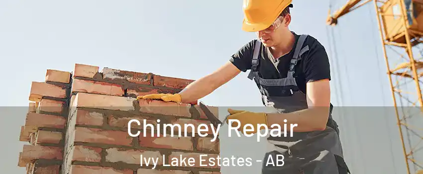  Chimney Repair Ivy Lake Estates - AB