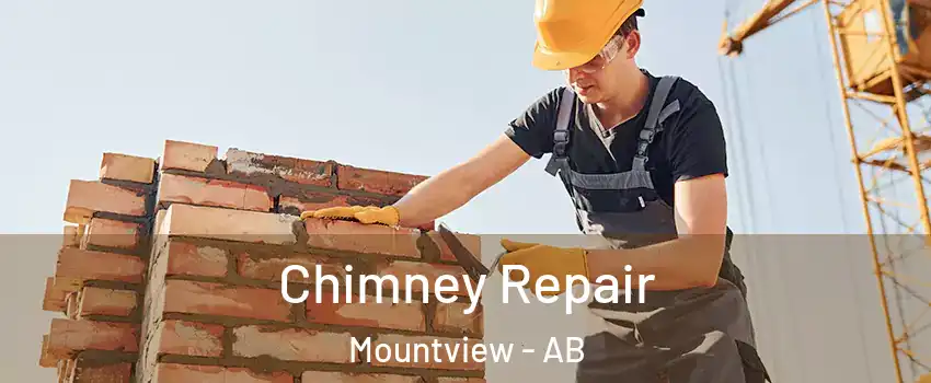  Chimney Repair Mountview - AB