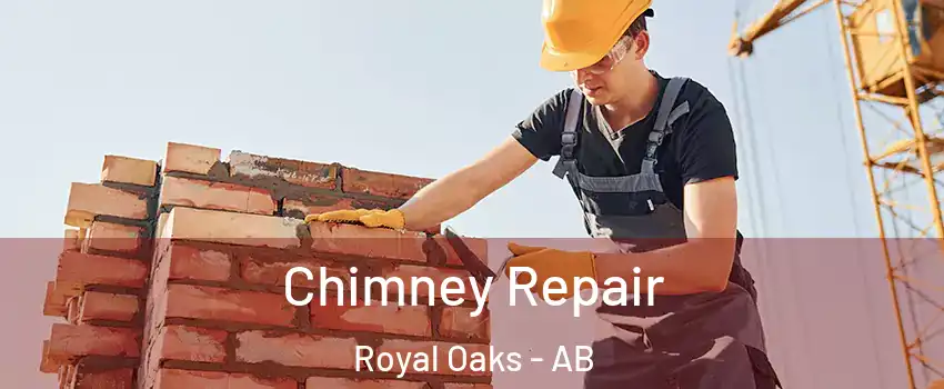  Chimney Repair Royal Oaks - AB
