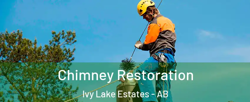  Chimney Restoration Ivy Lake Estates - AB