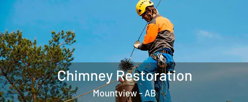  Chimney Restoration Mountview - AB