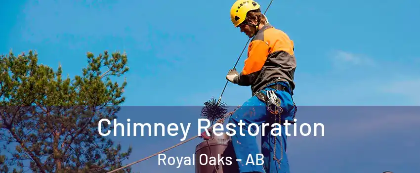  Chimney Restoration Royal Oaks - AB