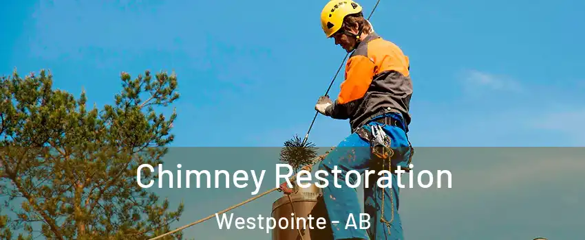  Chimney Restoration Westpointe - AB