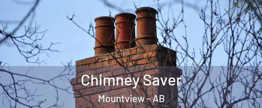  Chimney Saver Mountview - AB