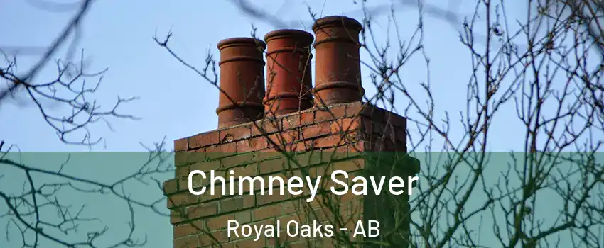  Chimney Saver Royal Oaks - AB