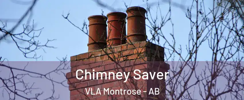  Chimney Saver VLA Montrose - AB