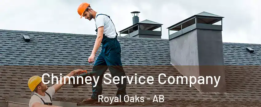  Chimney Service Company Royal Oaks - AB