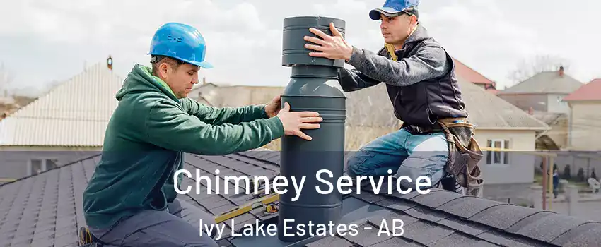  Chimney Service Ivy Lake Estates - AB
