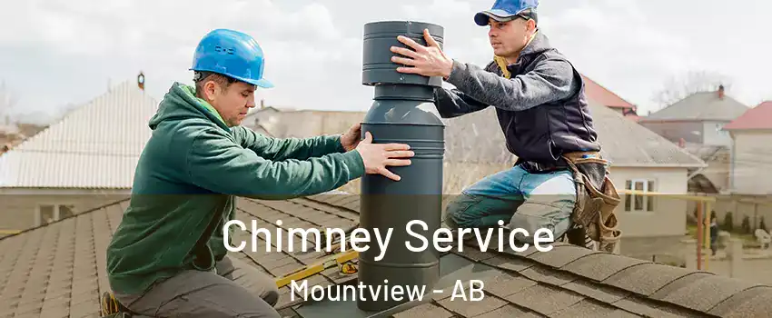  Chimney Service Mountview - AB