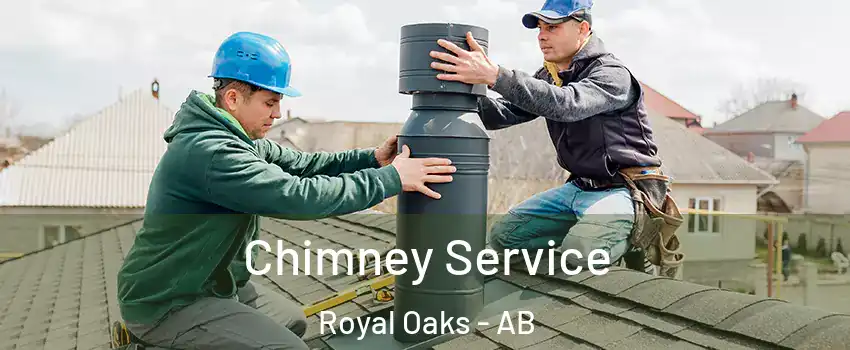  Chimney Service Royal Oaks - AB