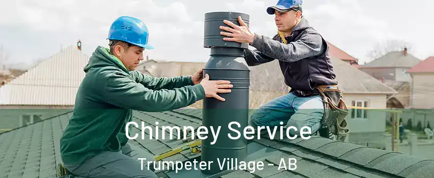  Chimney Service Trumpeter Village - AB