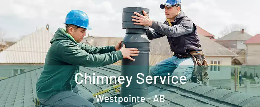  Chimney Service Westpointe - AB