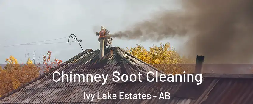  Chimney Soot Cleaning Ivy Lake Estates - AB