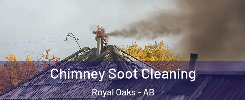  Chimney Soot Cleaning Royal Oaks - AB