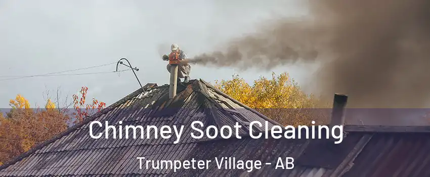  Chimney Soot Cleaning Trumpeter Village - AB