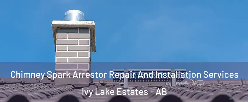  Chimney Spark Arrestor Repair And Installation Services Ivy Lake Estates - AB