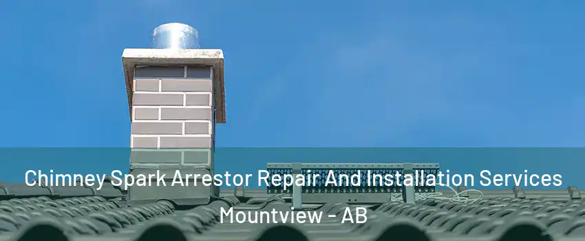  Chimney Spark Arrestor Repair And Installation Services Mountview - AB