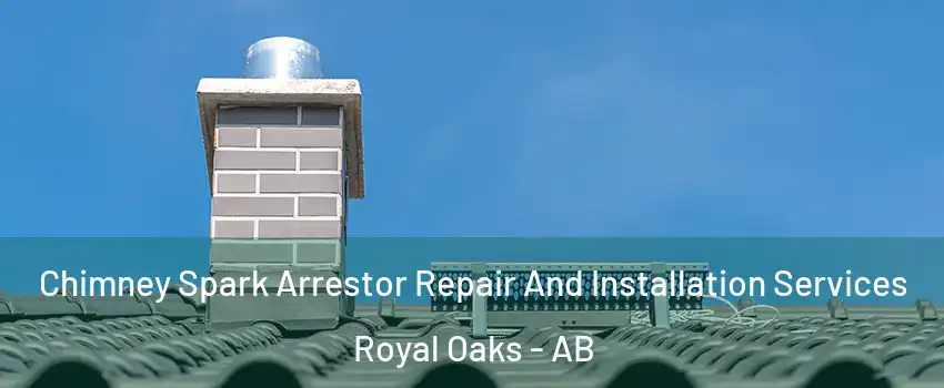  Chimney Spark Arrestor Repair And Installation Services Royal Oaks - AB