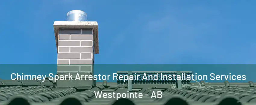  Chimney Spark Arrestor Repair And Installation Services Westpointe - AB