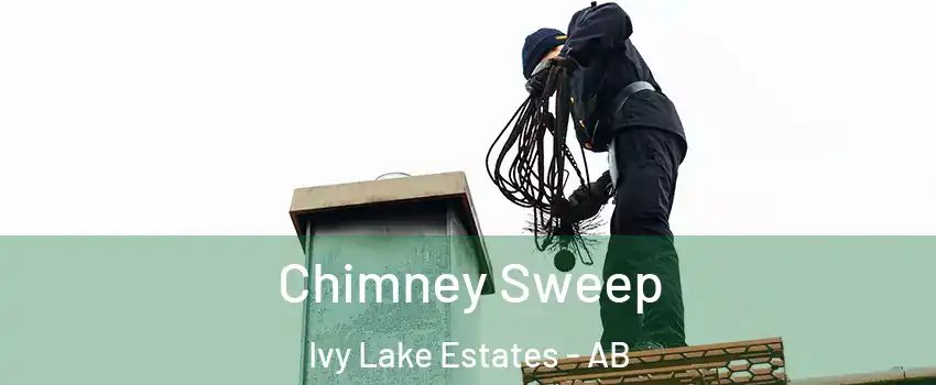  Chimney Sweep Ivy Lake Estates - AB