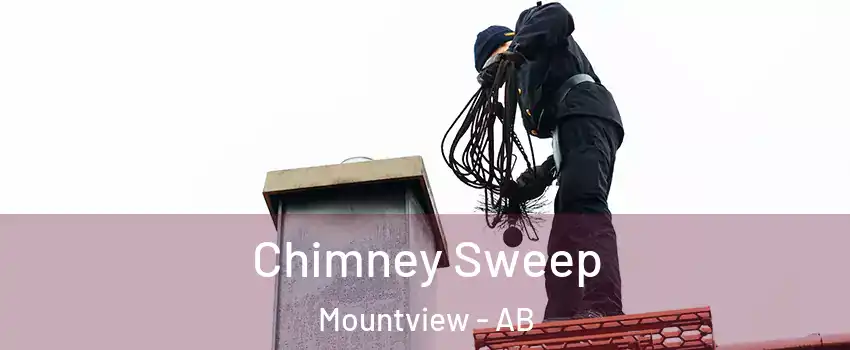  Chimney Sweep Mountview - AB