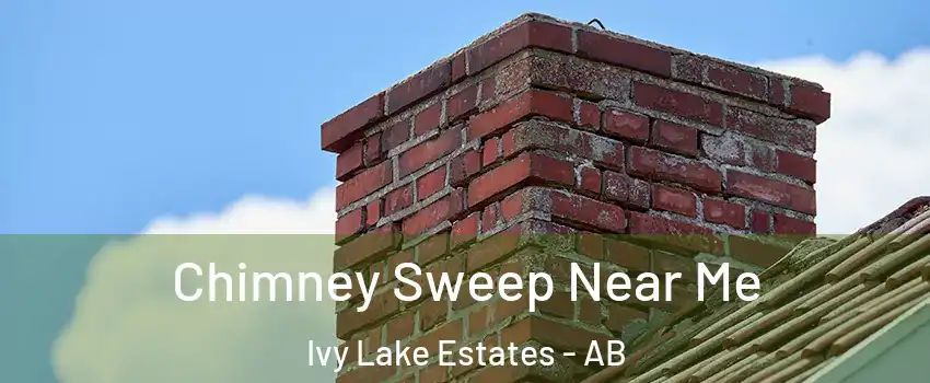  Chimney Sweep Near Me Ivy Lake Estates - AB