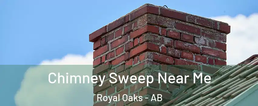  Chimney Sweep Near Me Royal Oaks - AB