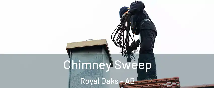  Chimney Sweep Royal Oaks - AB