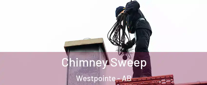  Chimney Sweep Westpointe - AB