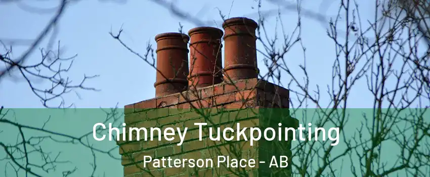  Chimney Tuckpointing Patterson Place - AB