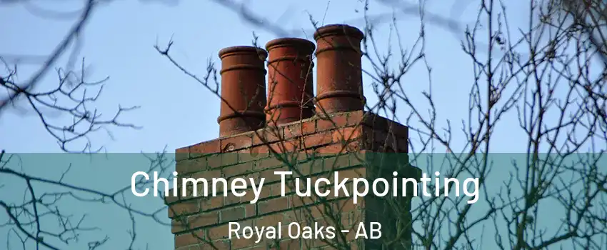  Chimney Tuckpointing Royal Oaks - AB