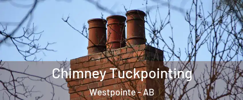  Chimney Tuckpointing Westpointe - AB